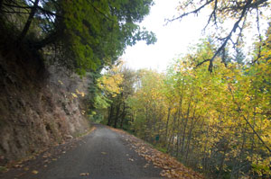 Penn Road
