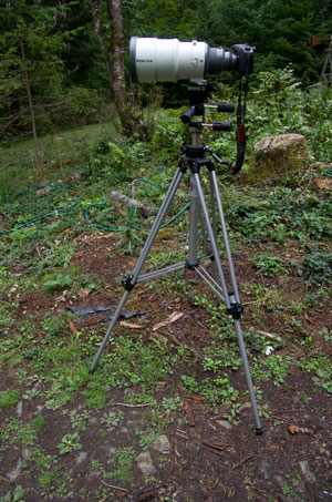 Tripod