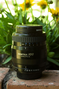 FA 100 consumer macro