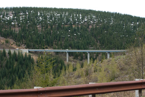 Noble Fir Planting, June 2011