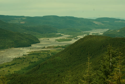 Toutle Valley, June 2011