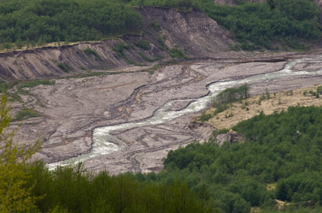 Toutle Valley, June 2011