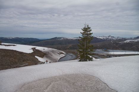 Toutle Valley, June 2011
