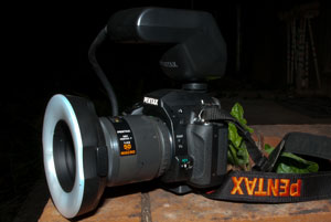 P-TTL Ring flash