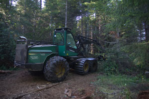 Timberjack processor