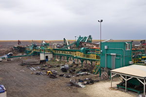 Boardman Poplar Farm