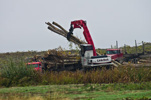 Boardman Poplar Farm