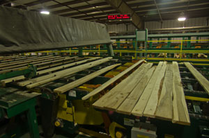 Boardman Poplar Farm