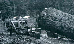 California Barrel logging with Fred Slanger and Denny Olsted