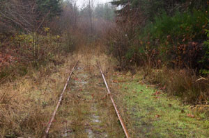 Scofield, OR, 2012