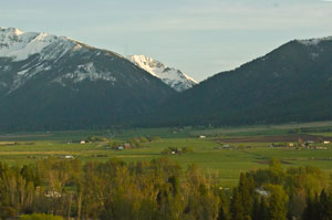 View near Enterprise