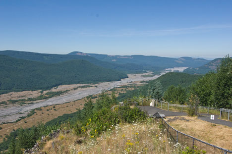 Toutle Valley, August 2015