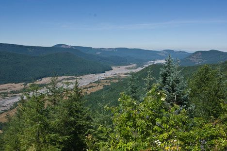 Toutle Valley, August 2015