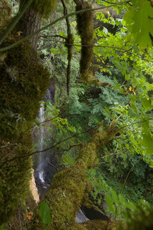 water falls