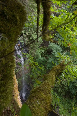 falls