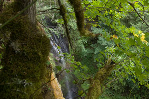 water falls