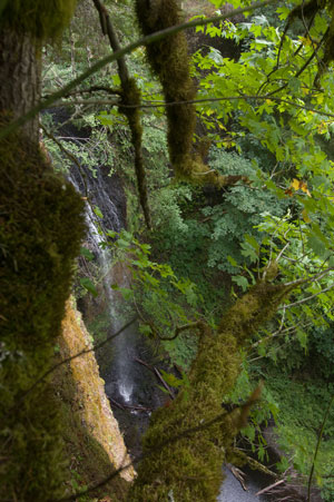 falls