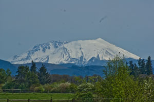Mt. St. Helens from North of Toledo