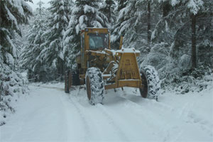 chmp1a.jpg - 18857 Bytes