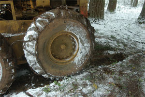 chmp4a.jpg - 23447 Bytes