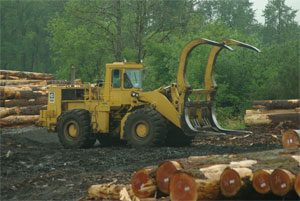 cat988a.jpg - 20960 Bytes