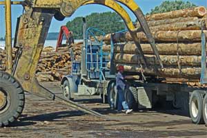 letou1a.jpg - 15814 Bytes