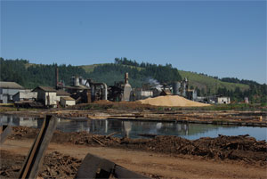 sawmill1a.jpg - 16011 Bytes