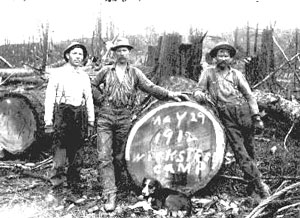 wikstrom1912ya.jpg - 26107 Bytes