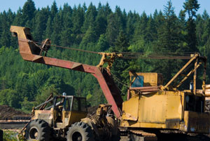 Heel Boom Loader