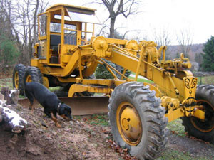 Adams Grader