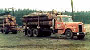 df4004a.jpg - 4.3 K
