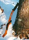 Flevera.jpg - 6257 Bytes