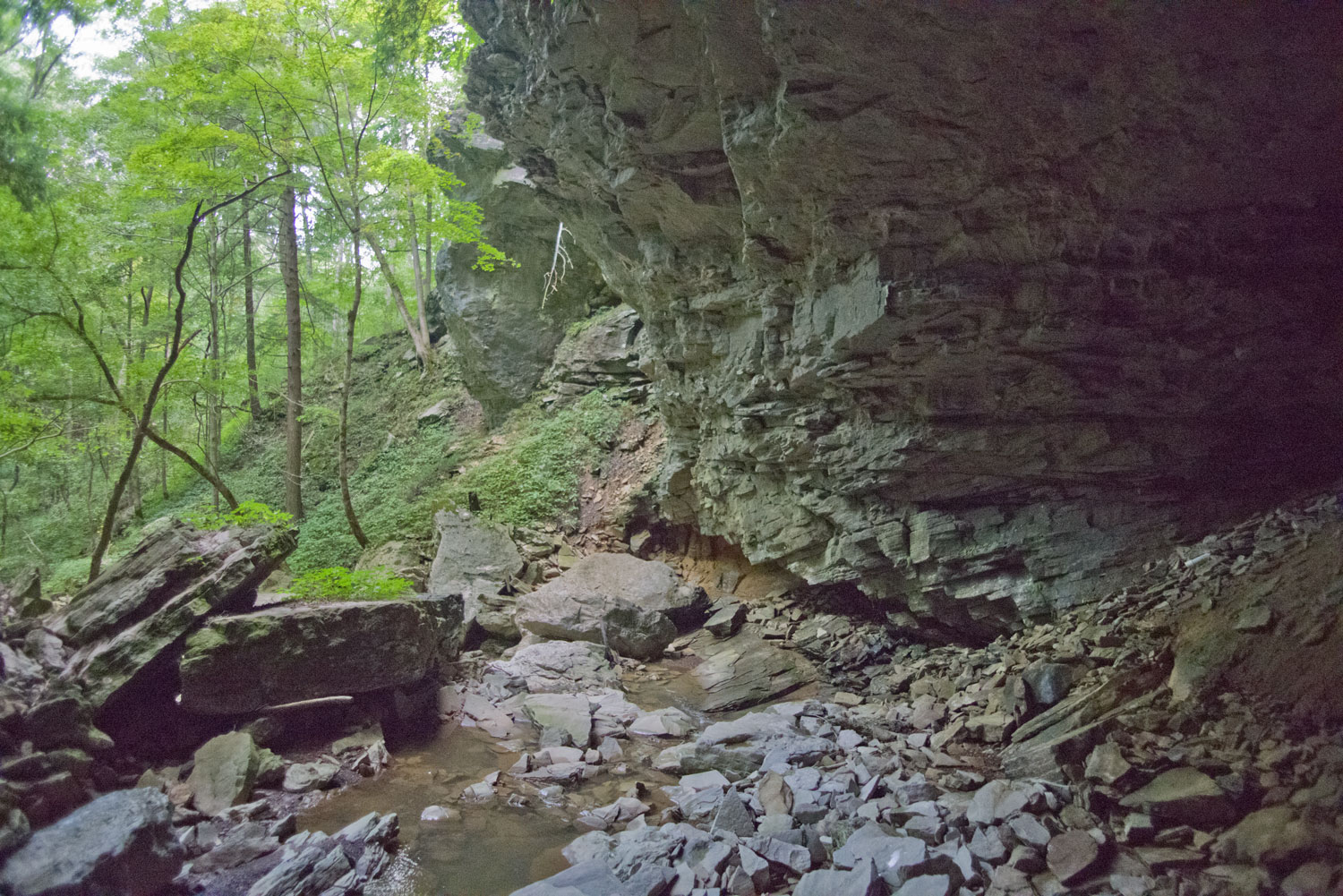 Carter Caves,pl Kentucky
