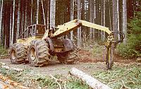 Cat528a.jpg - 11250 Bytes
