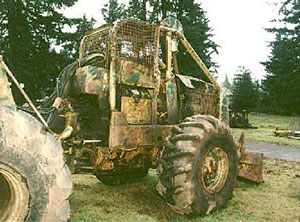 Gar30a.jpg - 4.5 K